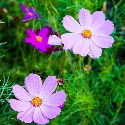 爱游戏手机客户端手机app下载截图